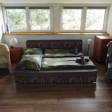 Apartman U Borovice Bílá Třemešná Екстериор снимка